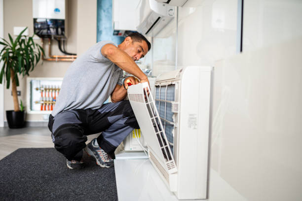 Best Affordable Duct Cleaning Services  in Dakota City, NE
